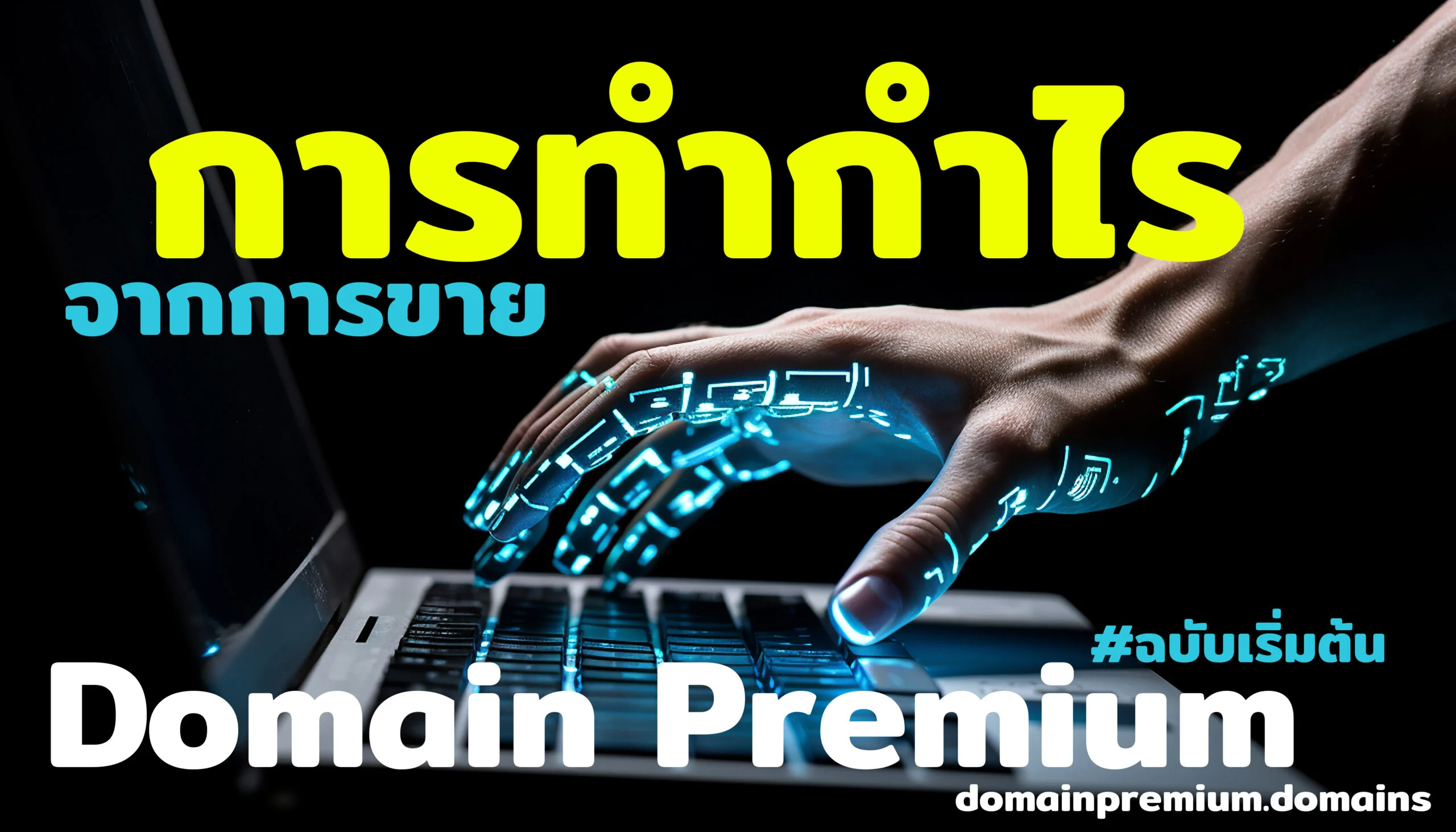 การทำกำไรจากการขายโดเมนพรีเมี่ยม (ฉบับเริ่มต้น)