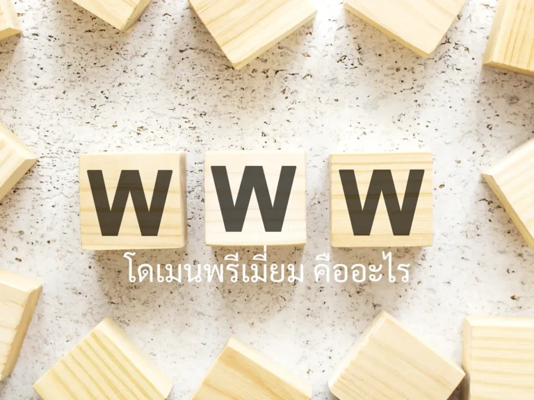 โดเมนพรีเมี่ยม คืออะไร - MR.KUNG จำหน่ายโดเมนพรีเมี่ยม